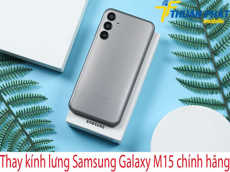 Thay kính lưng Samsung Galaxy M15 chính hãng tại Thuận Phát Mobile