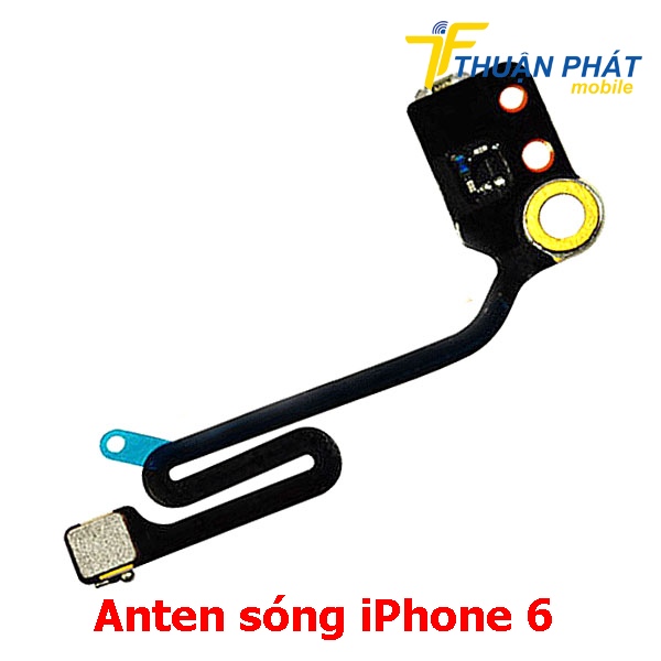 Anten sóng iPhone 6