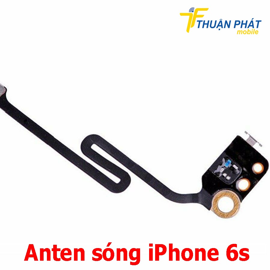 Anten sóng iPhone 6s