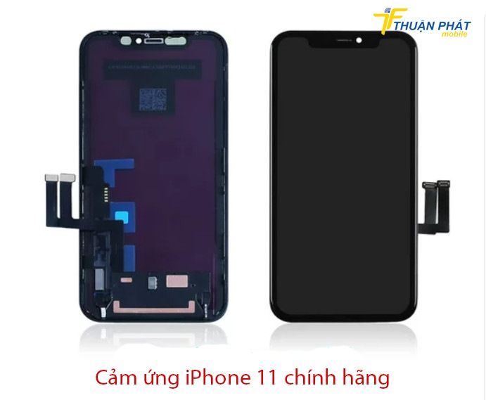 Cảm ứng iPhone 11 chính hãng