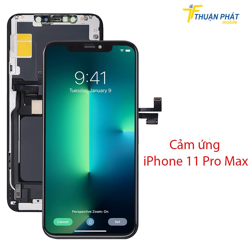 Cảm ứng iPhone 11 Pro Max