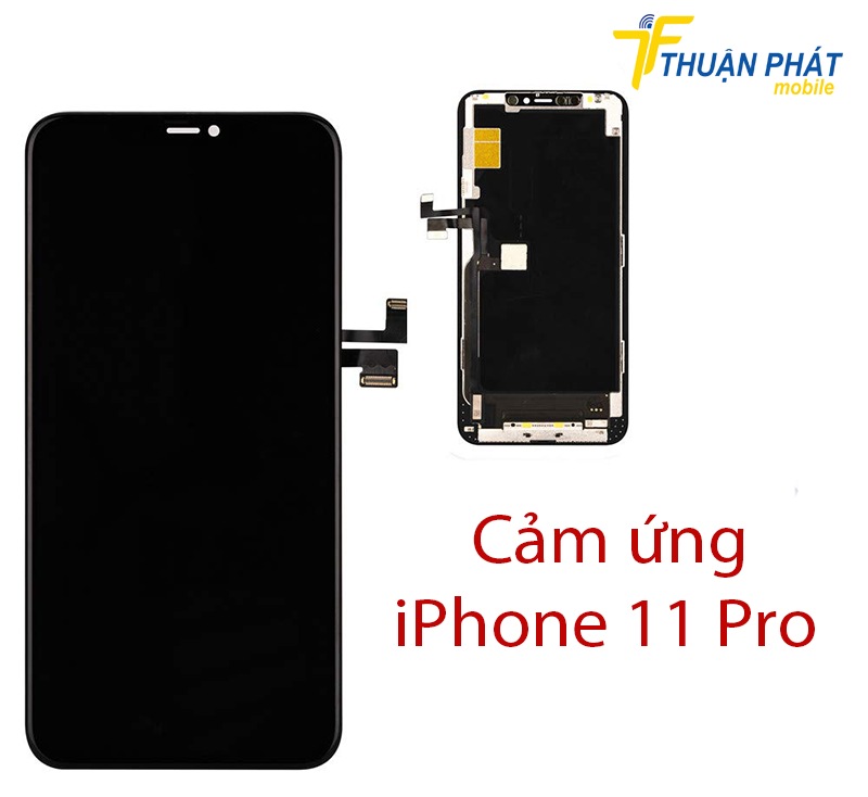 Cảm ứng iPhone 11 Pro