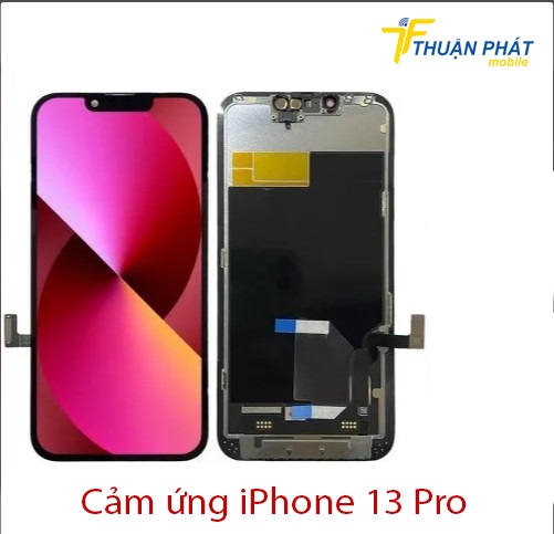 Cảm ứng iPhone 13 Pro