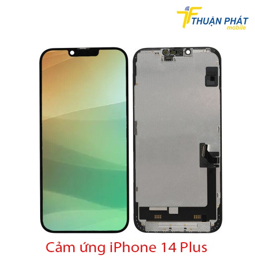 Cảm ứng iPhone 14 Plus