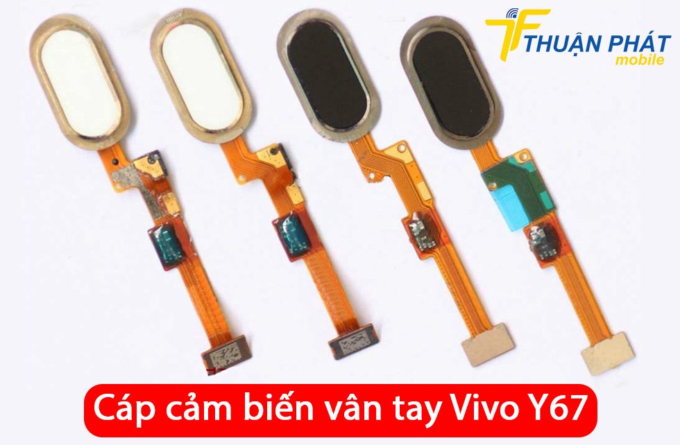 Cáp cảm biến vân tay Vivo Y67