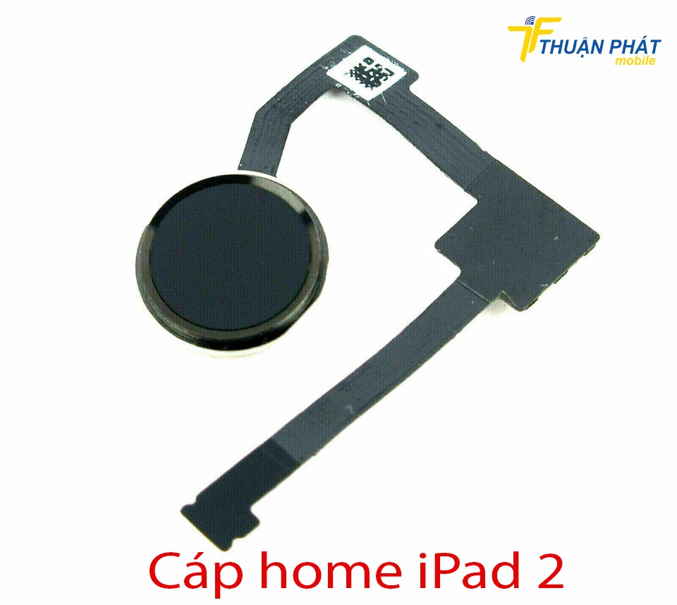 Cáp home iPad 2