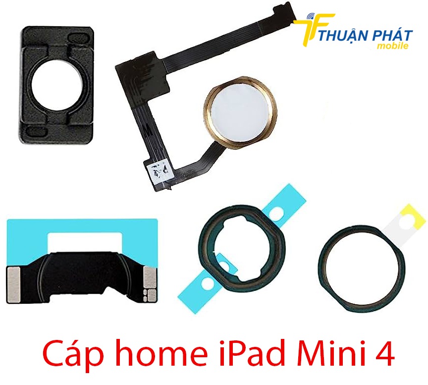 Cáp home iPad Mini 4