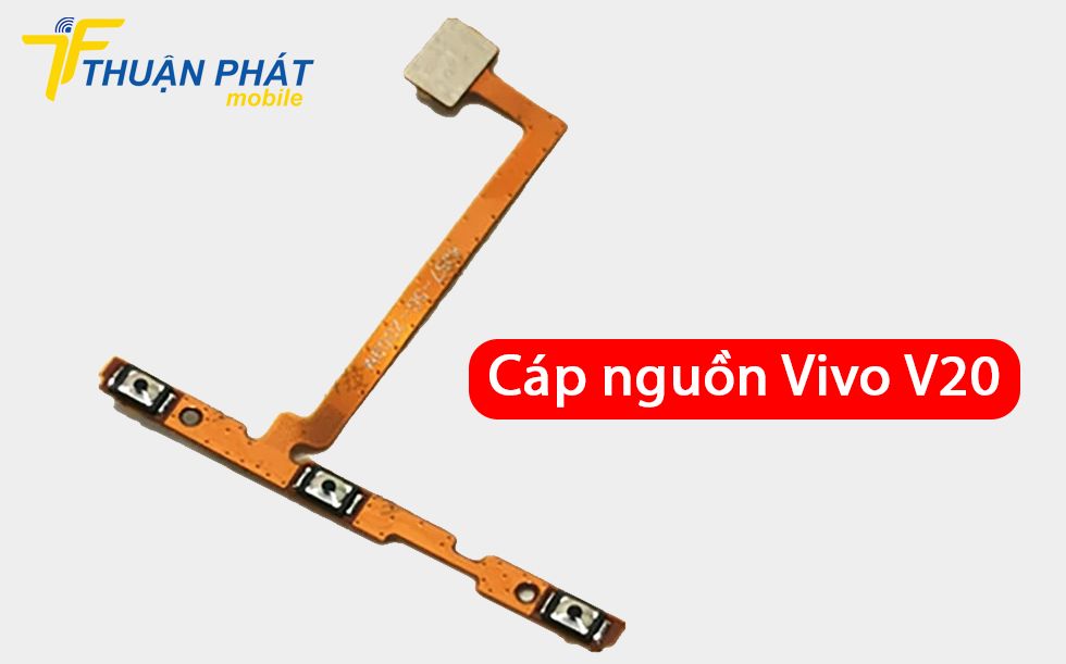 Cáp nguồn Vivo V20