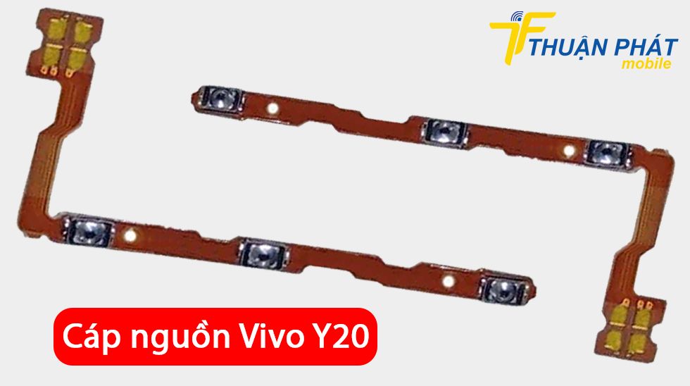 Cáp nguồn Vivo Y20