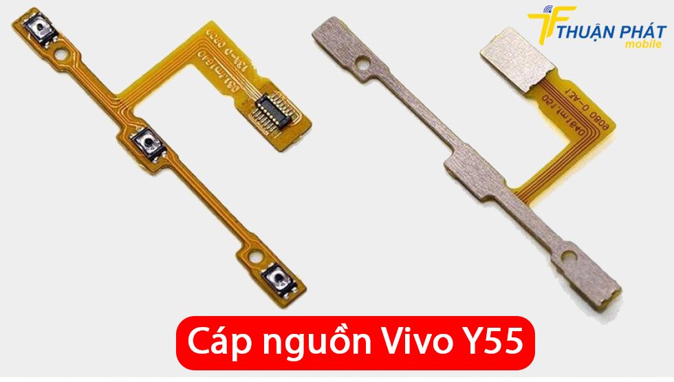 Cáp nguồn Vivo Y55