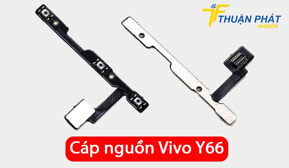 Cáp nguồn Vivo Y66