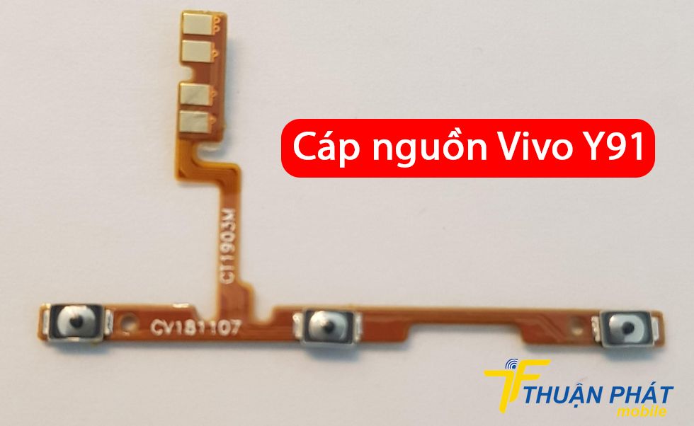 Cáp nguồn Vivo Y91