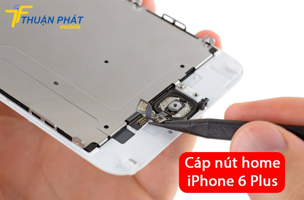 Cáp nút home iPhone 6 Plus