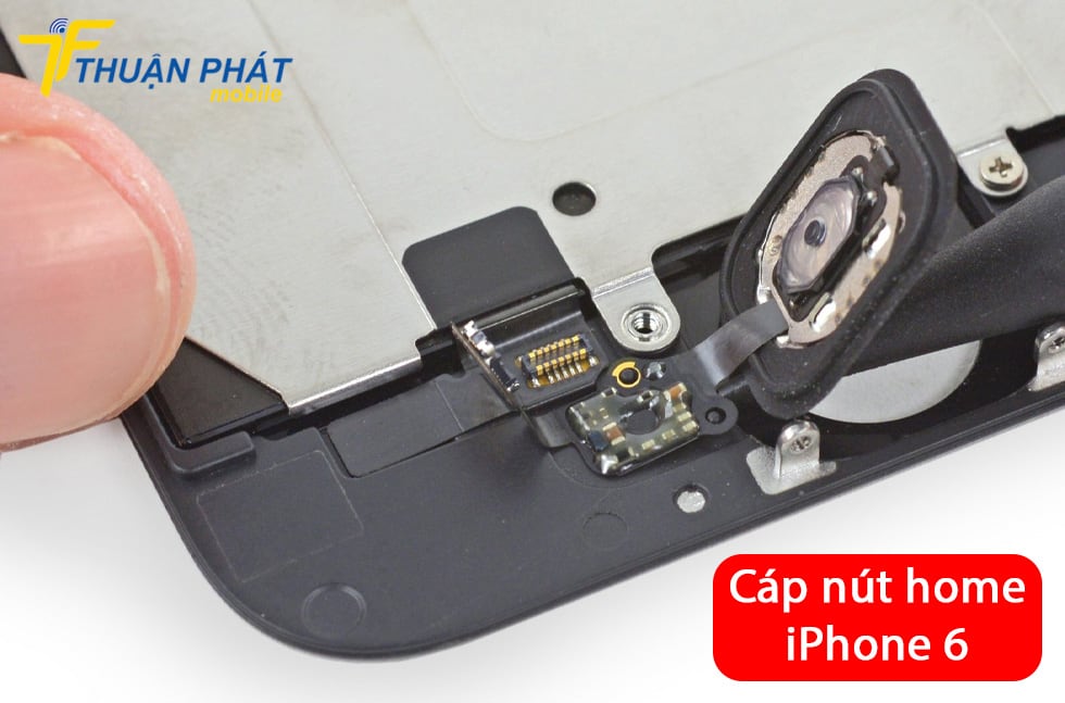 Cáp nút home iPhone 6