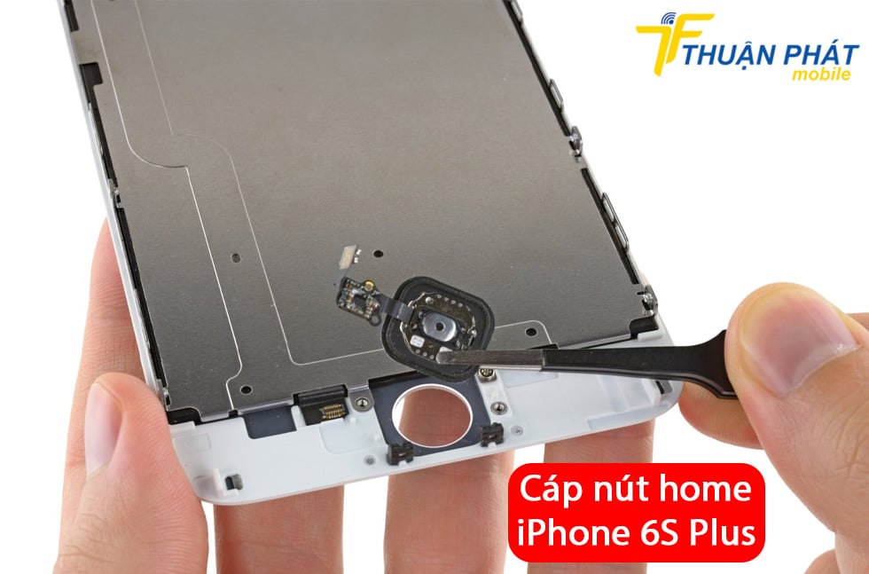 Cáp nút home iPhone 6S Plus