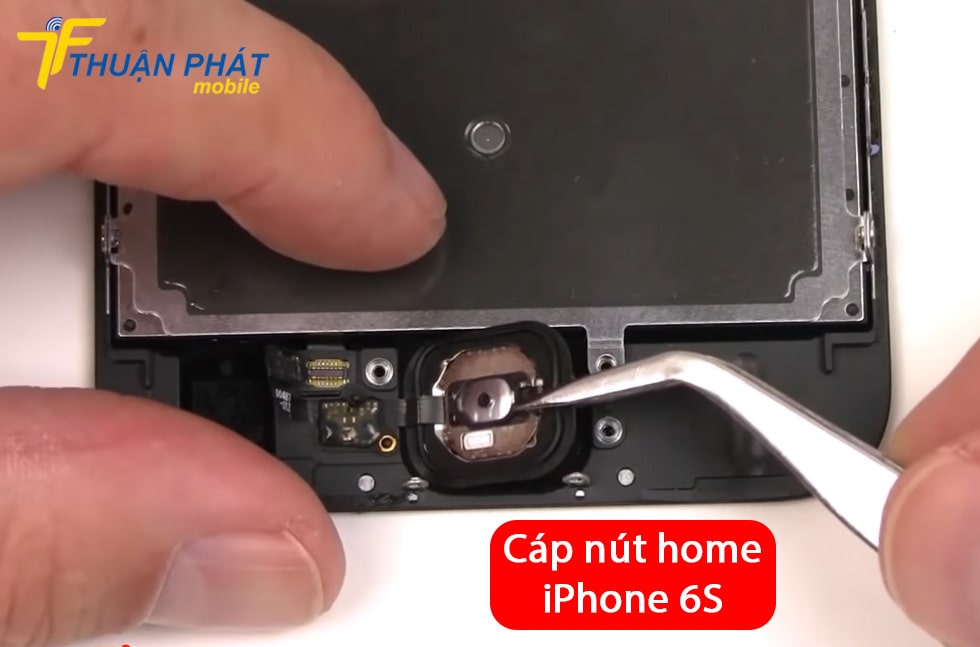 Cáp nút home iPhone 6S