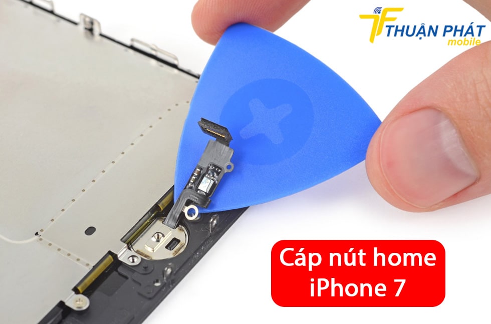 Cáp nút home iPhone 7