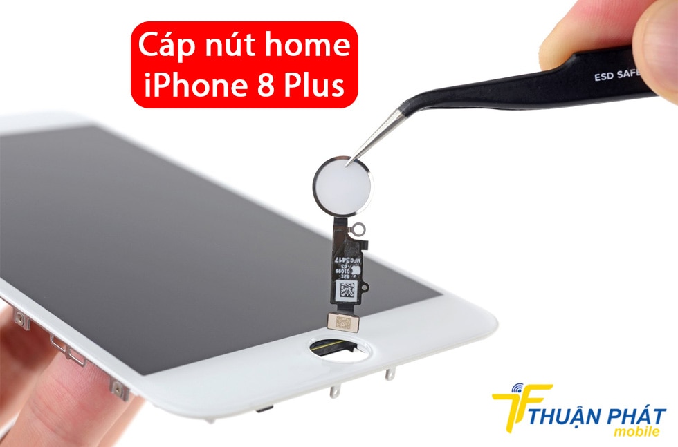 Cáp nút home iPhone 8 Plus