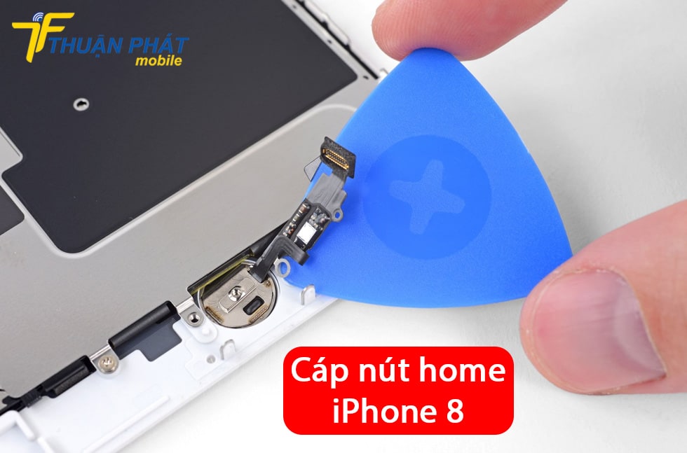 Cáp nút home iPhone 8