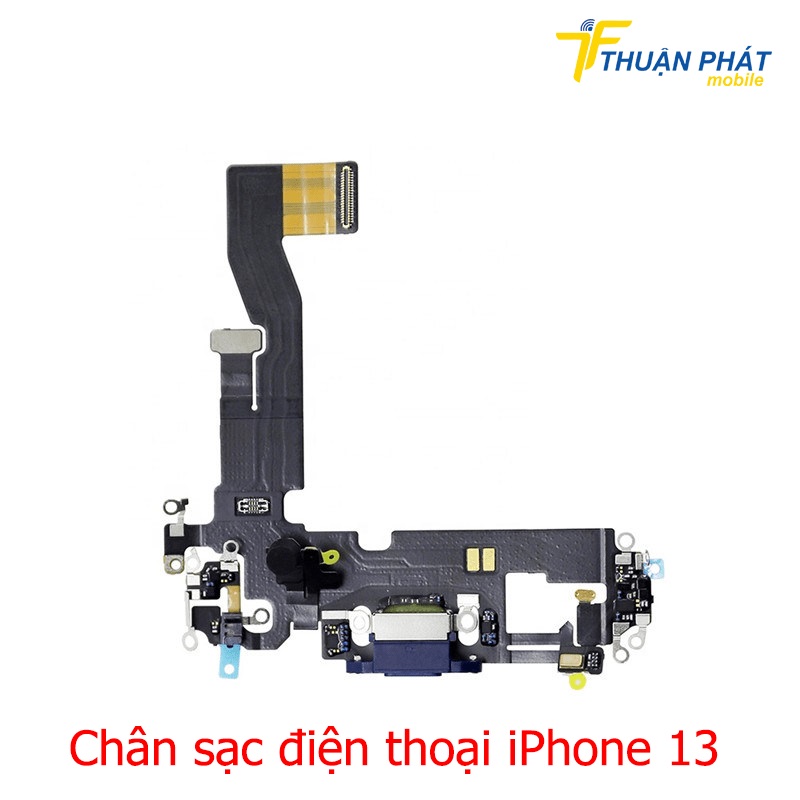 Chân sạc điện thoại iPhone 13