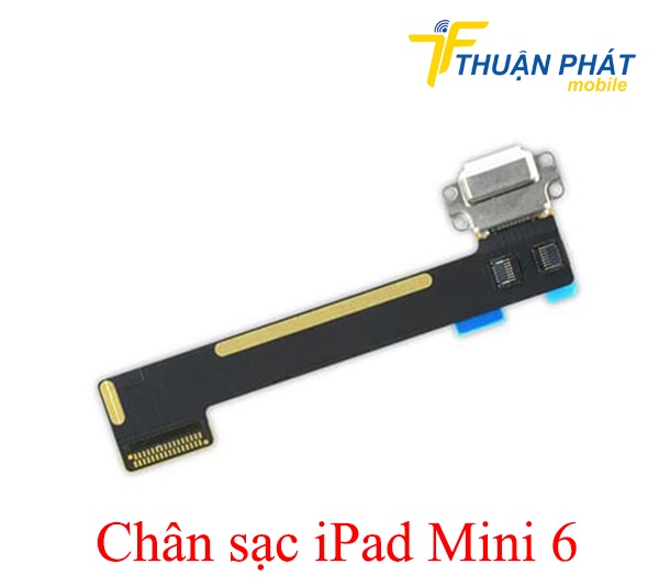 Chân sạc iPad Mini 6