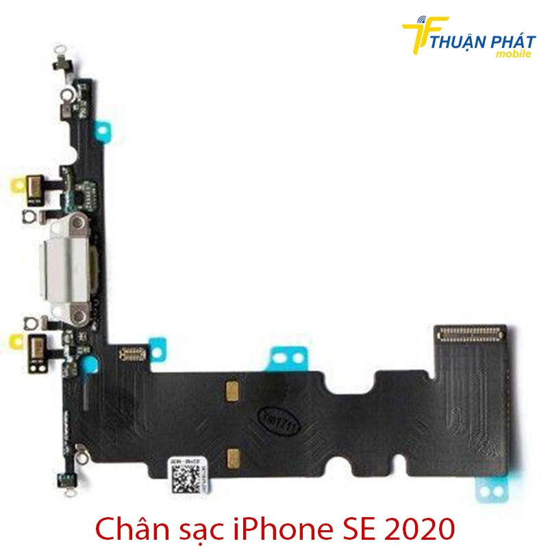 Chân sạc iPhone SE 2020