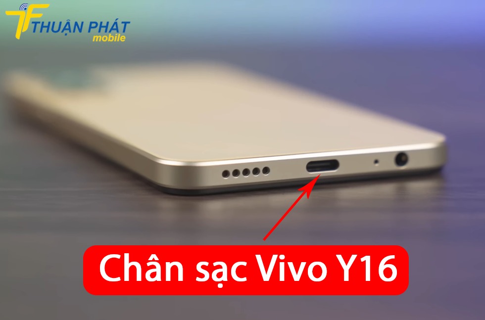 Chân sạc Vivo Y16