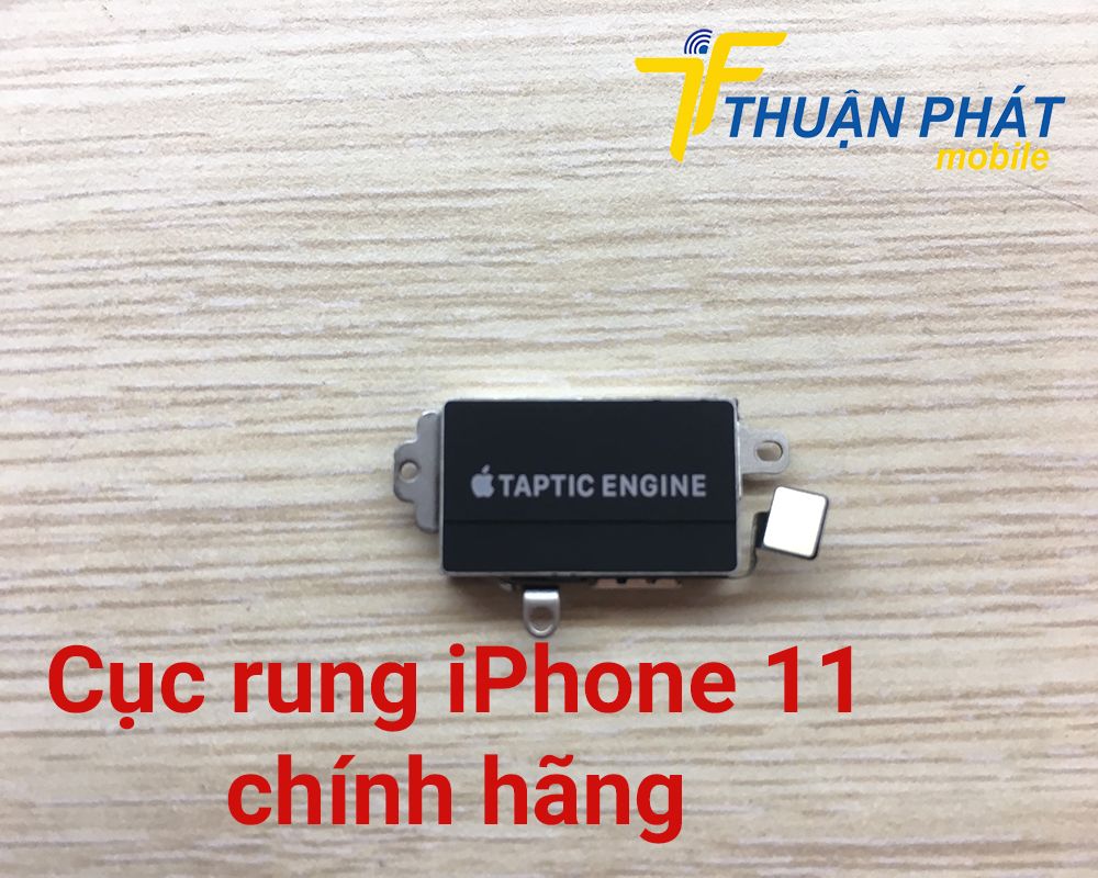 Cục rung iPhone 11 chính hãng