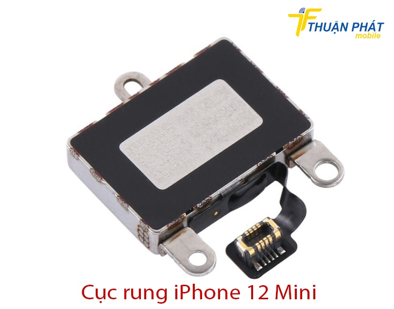 Cục rung iPhone 12 Mini