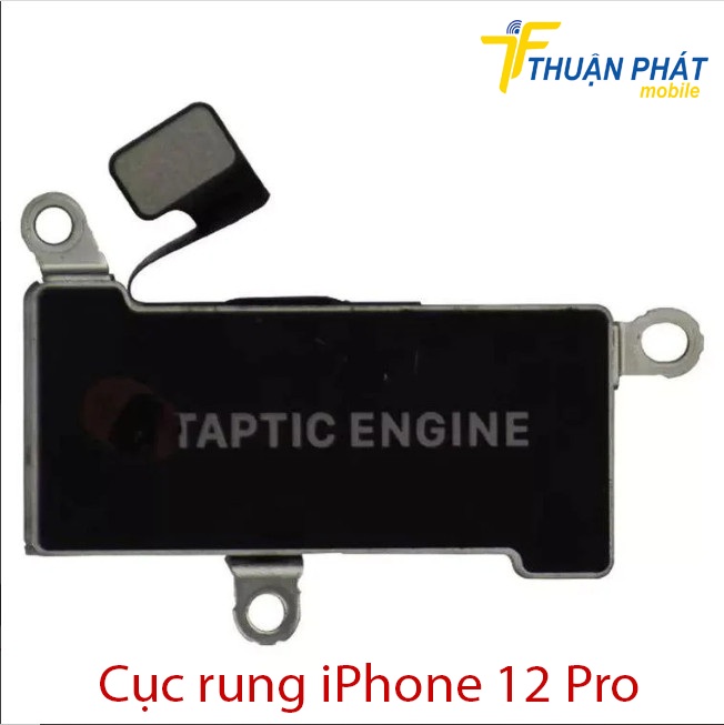 Cục rung iPhone 12 Pro chính hãng