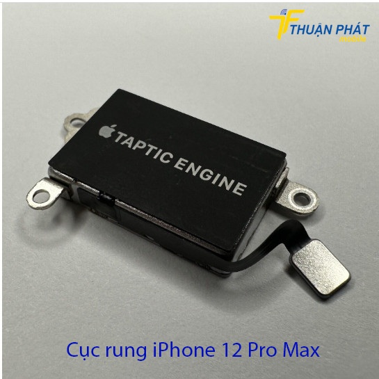 Cục rung iPhone 12 Pro Max