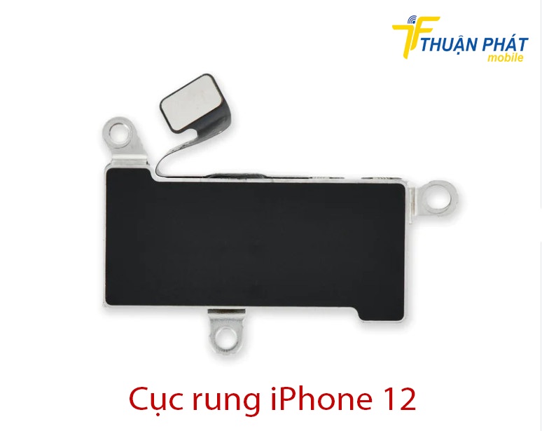 Cục rung iPhone 12