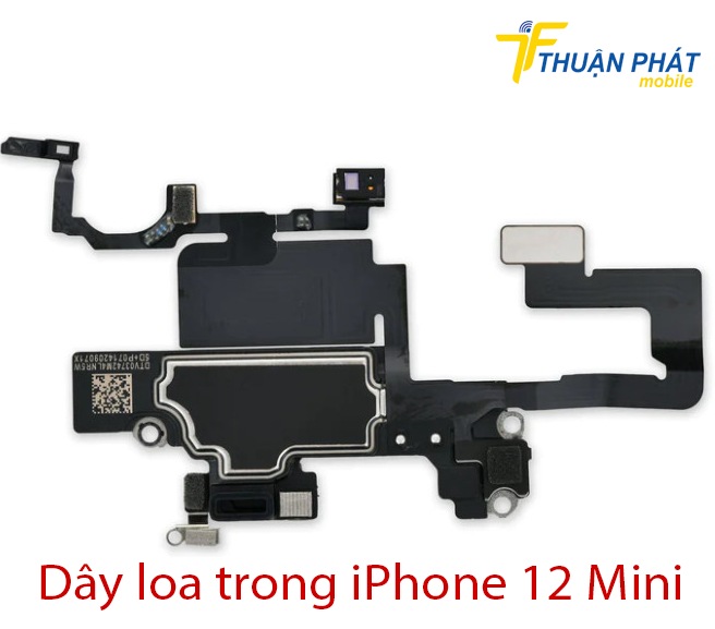 Dây loa trong iPhone 12 Mini