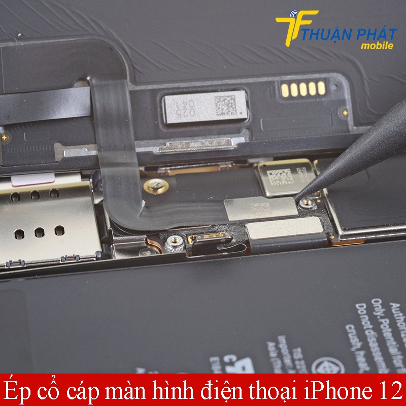 Ép cổ cáp màn hình điện thoại iPhone 12