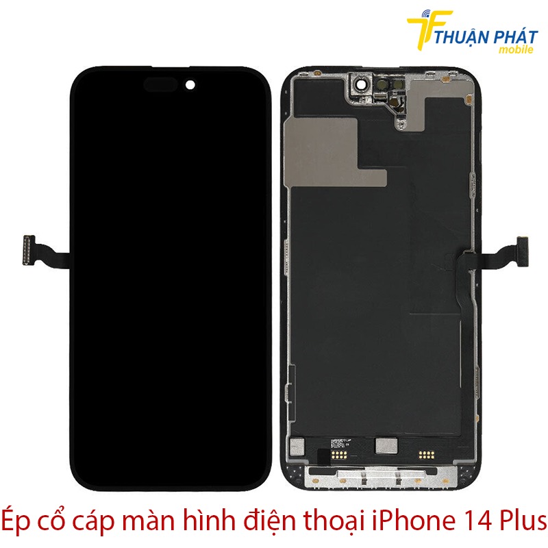 Ép cổ cáp màn hình điện thoại iPhone 14 Plus