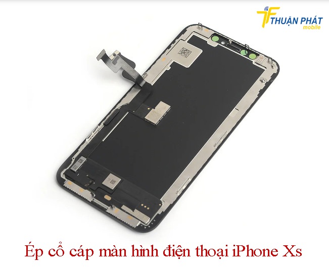 Ép cổ cáp màn hình điện thoại iPhone Xs