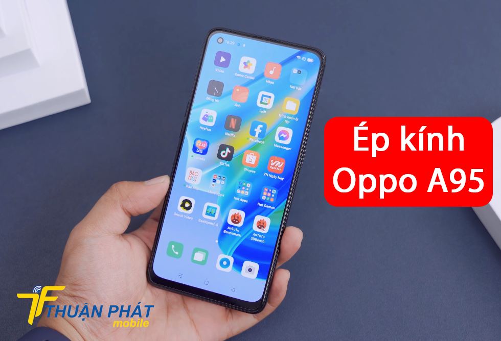 Ép kính Oppo A95