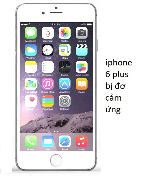 iphone 6 plus bị đơ cảm ứng