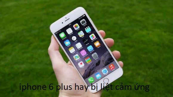 iphone 6 plus hay bị liệt cảm ứng