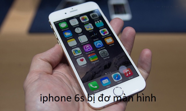 iphone 6s bị đơ màn hình