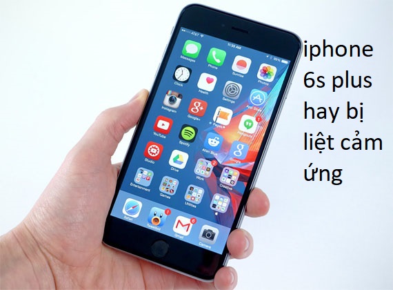 iphone 6s plus hay bị liệt cảm ứng