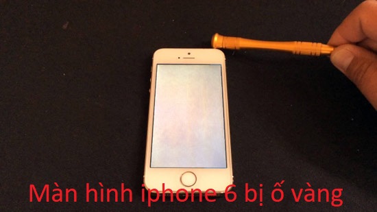 Màn hình iphone 6 bị ố vàng