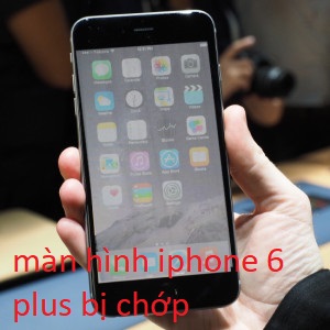 Màn hình iphone 6 plus bị chớp