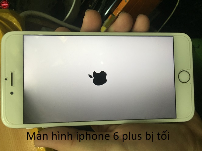 màn hình iphone 6 plus bị tối