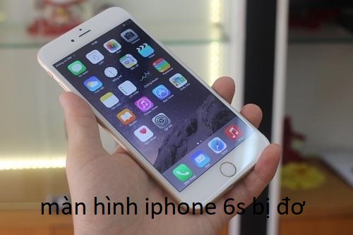 màn hình iphone 6s bị đơ