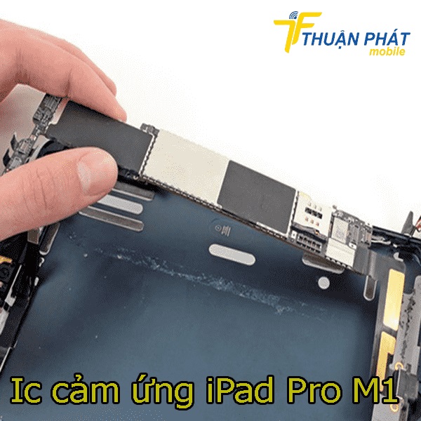 Ic cảm ứng iPad Pro M1