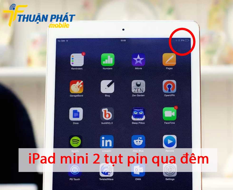 iPad mini 2 tụt pin qua đêm