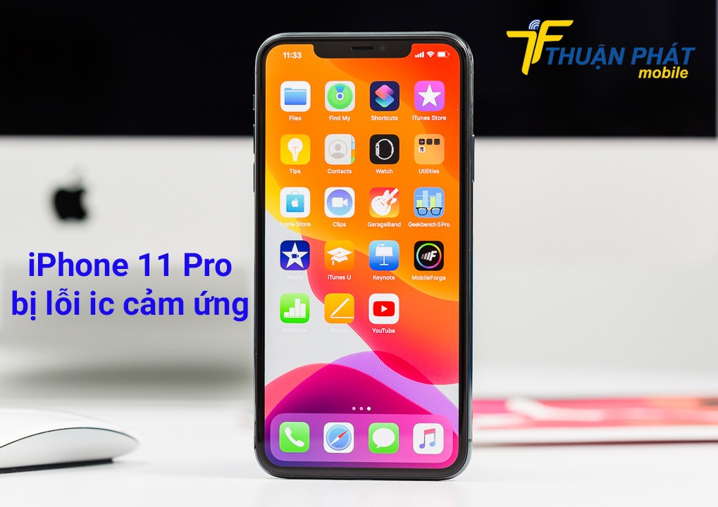 iPhone 11 Pro bị lỗi ic cảm ứng