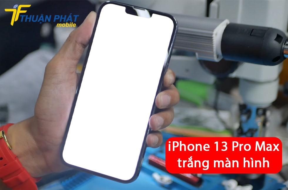 iPhone 13 Pro Max trắng màn hình