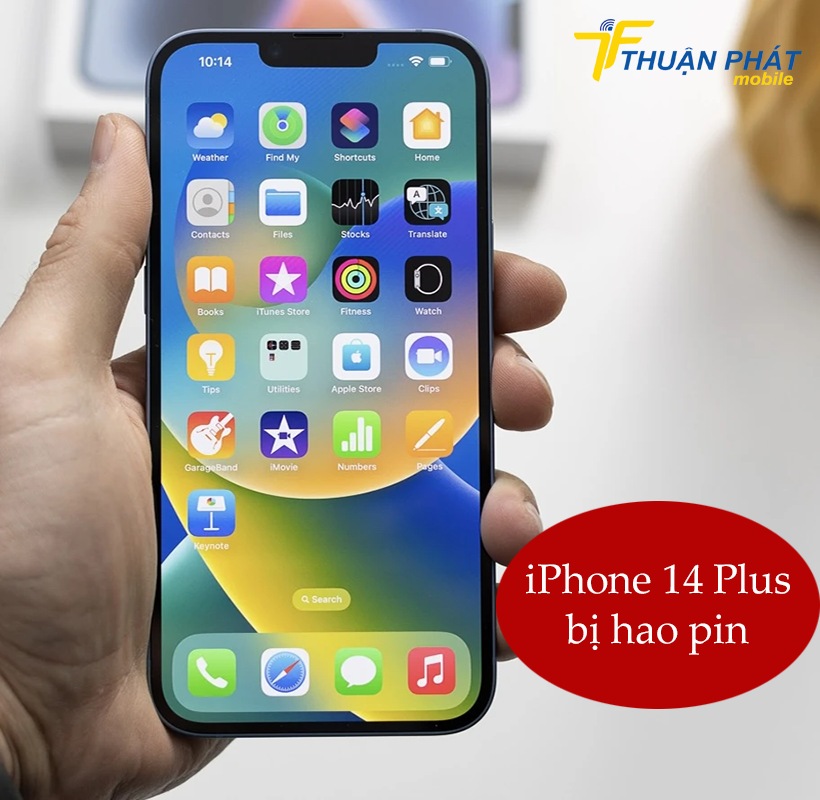 iPhone 14 Plus bị hao pin